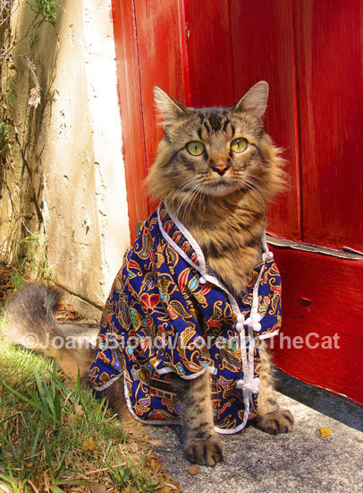 The Cat’s Pajamas